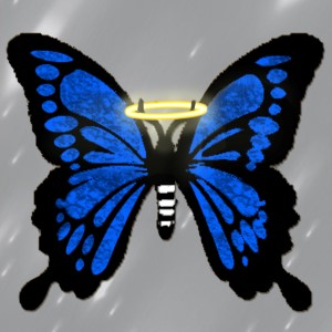 butterflies: 93