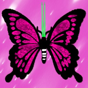 butterflies: 1492