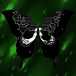 butterflies: 999