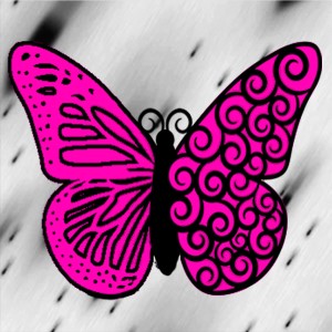 butterflies: 1642