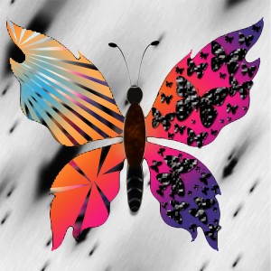 butterflies: 463