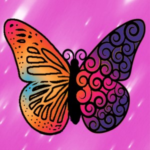 butterflies: 566
