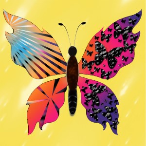 butterflies: 1025