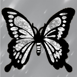 butterflies: 270