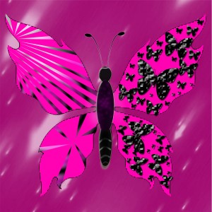 butterflies: 958
