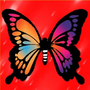 butterflies: 1055