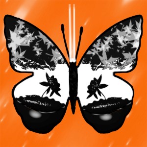 butterflies: 1116