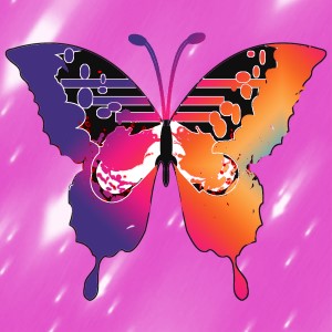 butterflies: 469