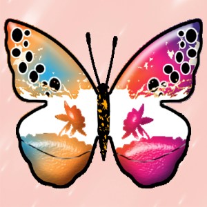 butterflies: 2018