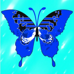 butterflies: 1656
