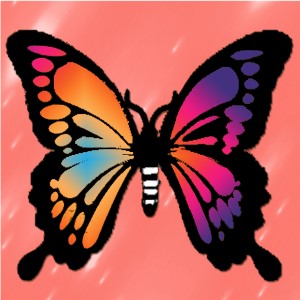 butterflies: 891