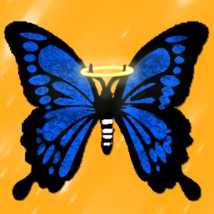 butterflies: 1782