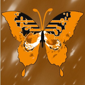 butterflies: 1713