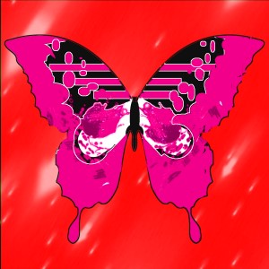 butterflies: 1482