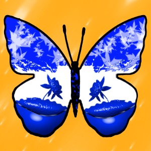butterflies: 552