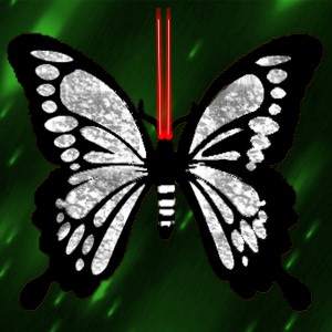butterflies: 1664