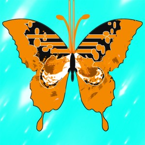 butterflies: 1009