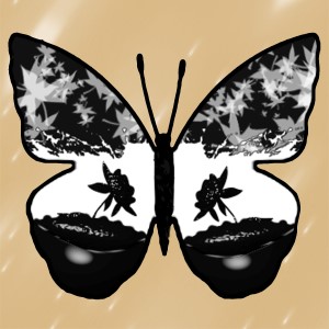 butterflies: 1478