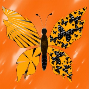 butterflies: 477