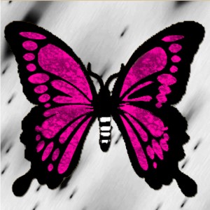 butterflies: 473