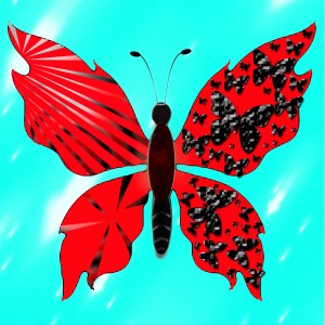 butterflies: 1348