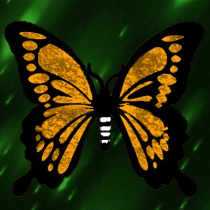 butterflies: 201