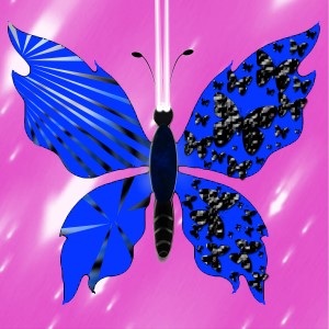 butterflies: 1900