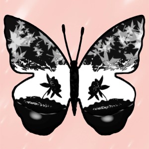 butterflies: 883
