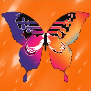 butterflies: 678