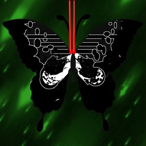 butterflies: 808
