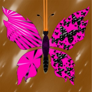 butterflies: 1583