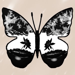 butterflies: 568