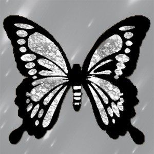 butterflies: 398