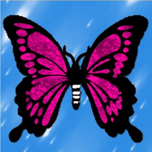 butterflies: 564