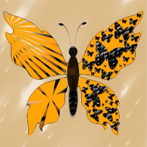 butterflies: 1981