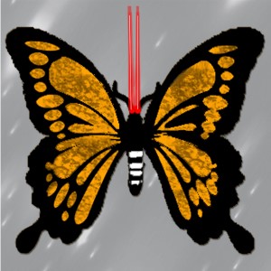 butterflies: 1425