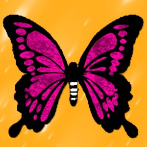 butterflies: 2094