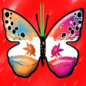 butterflies: 1096