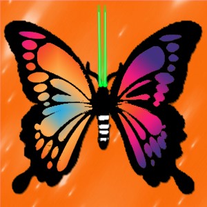 butterflies: 457