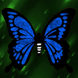butterflies: 1920