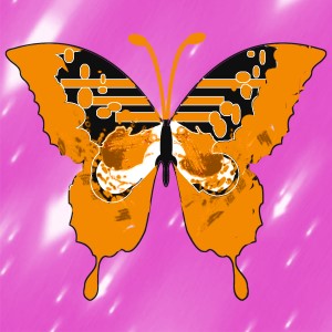 butterflies: 871