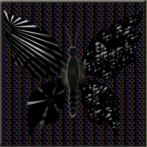 butterflies: 753