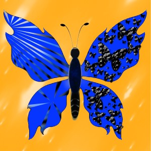 butterflies: 1311
