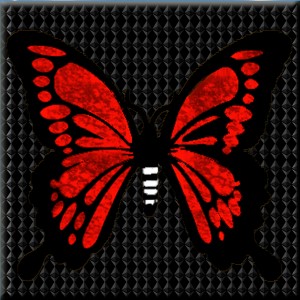 butterflies: 264