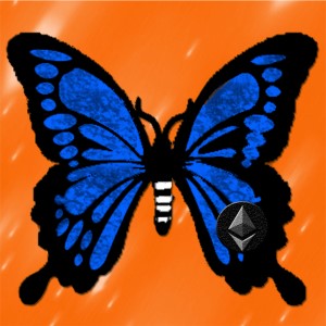 butterflies: 146