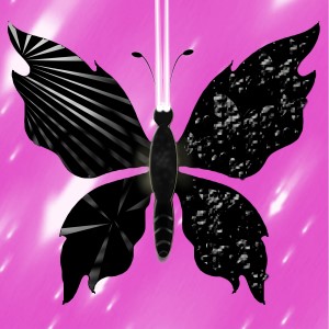 butterflies: 209
