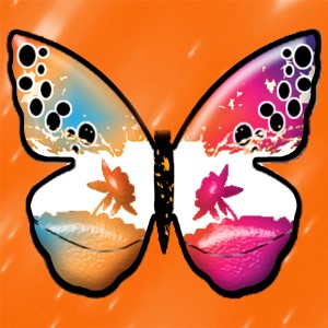 butterflies: 1908
