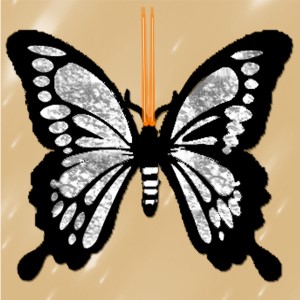 butterflies: 323