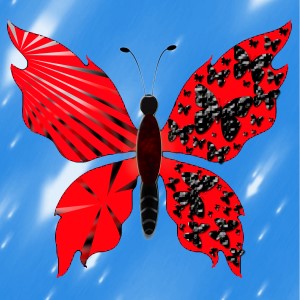 butterflies: 1912
