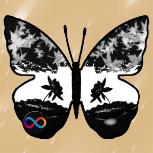 butterflies: 816